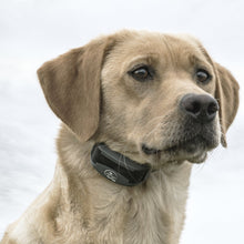 Load image into Gallery viewer, SportTrainer® 425X